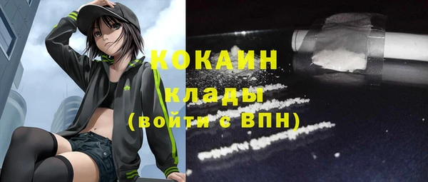 мет Арсеньев