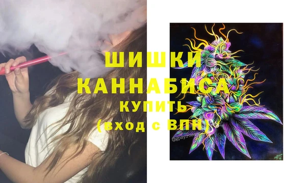 индика Вязьма