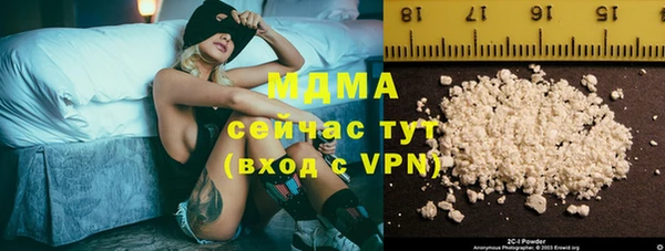 индика Вязьма