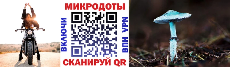 Псилоцибиновые грибы MAGIC MUSHROOMS  это как зайти  Глазов 