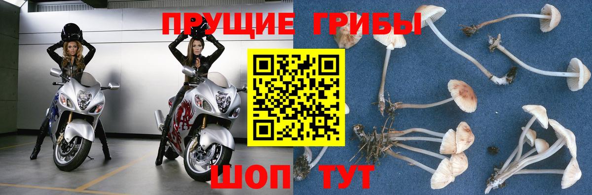 Псилоцибиновые грибы Magic Shrooms Глазов